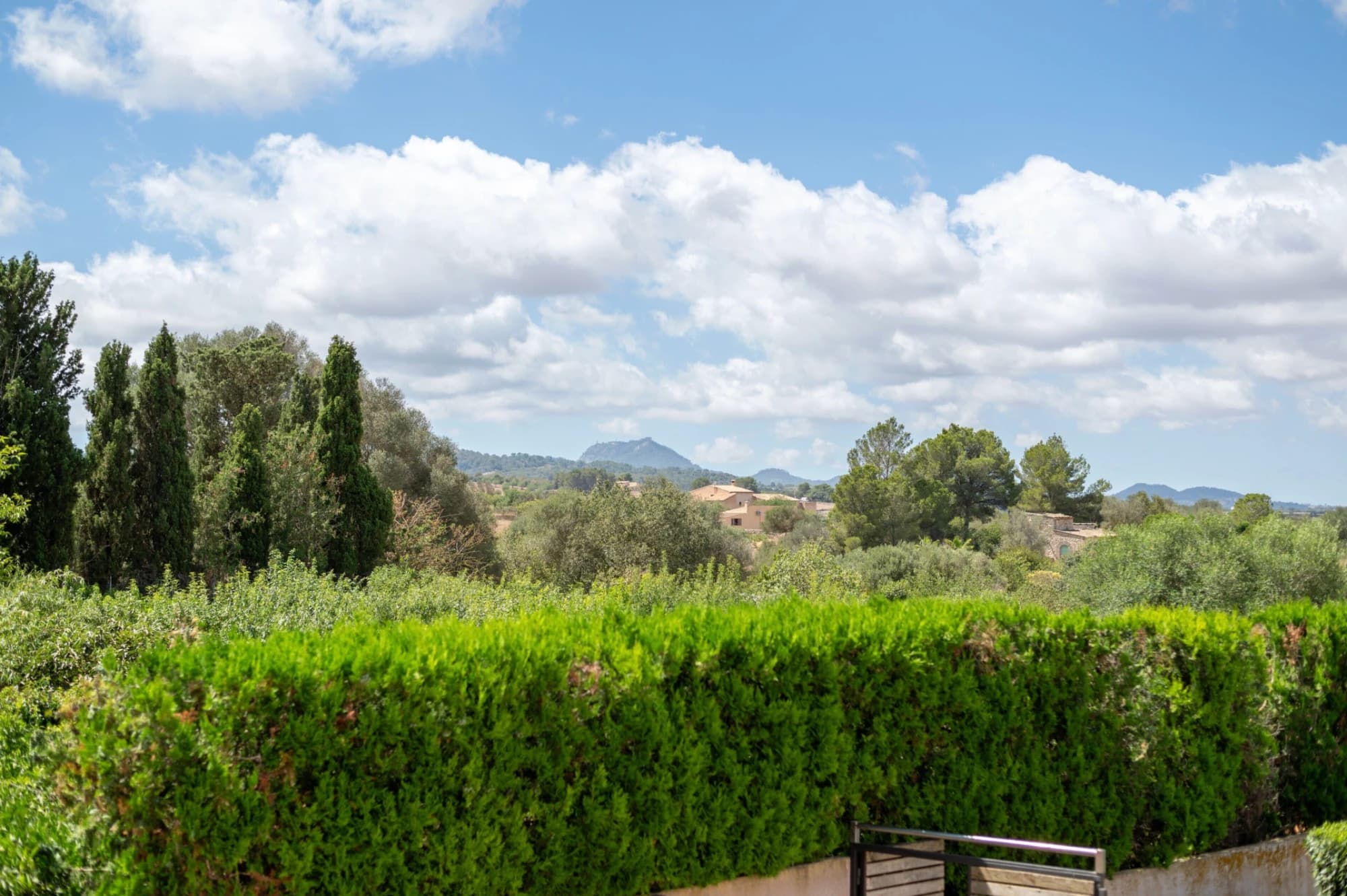 A landscape with a hedge, trees, and distant hills.